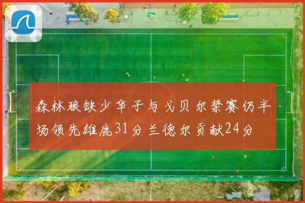 森林狼缺少华子与戈贝尔禁赛仍半场领先雄鹿31分兰德尔贡献24分
